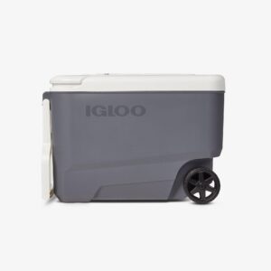 Versatemp™ 35 Qt Wheeled Electric Cooler