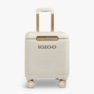 Tag Along Too Spinner Cooler